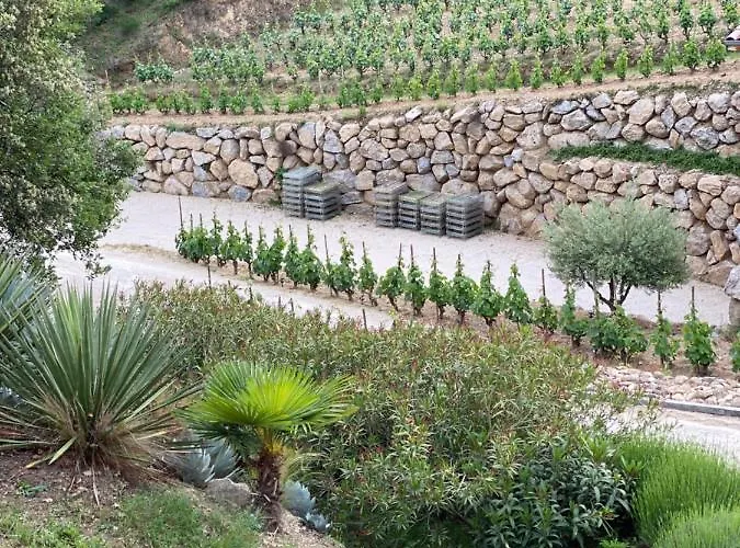 Tatil Evi Les Barras'k *