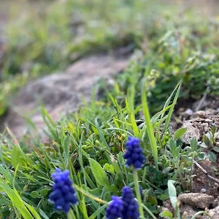 Les Barras'k * Saint-Péray